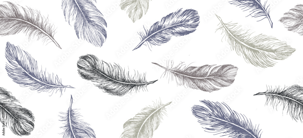 Hand drawn feather on white background
Hand drawn feather on white background