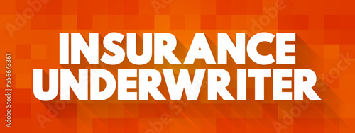 Insurance Underwriter - professional who evaluate and analyze the risks involved in insuring people and assets, text concept background