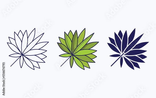 Sabal palm leaf illustration icon