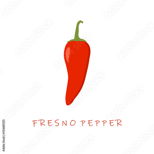 fresno pepper flat design vector illustration. fresno chili