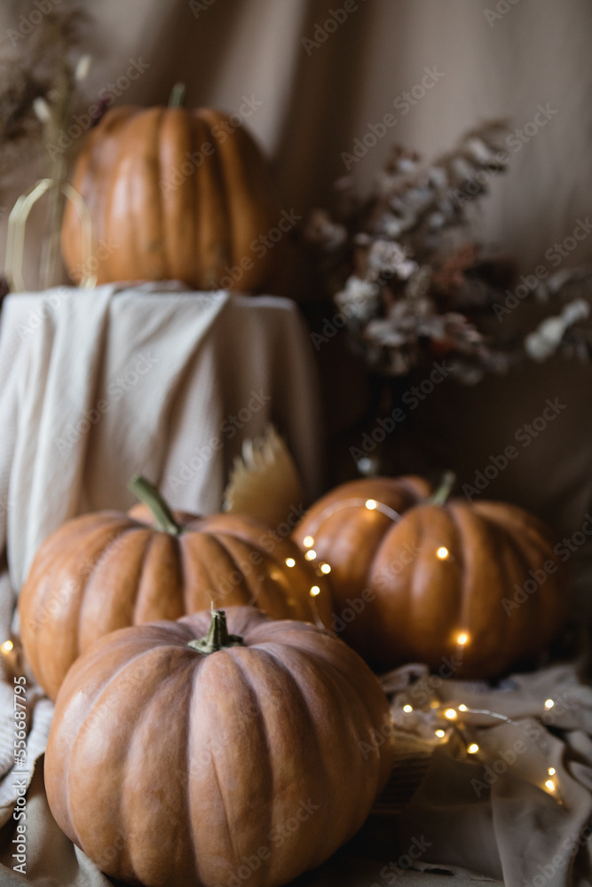 Interior decor with pumpkins, fabrics, lights, dried flowers Interior decor with pumpkins, fabrics, lights, dried flowers