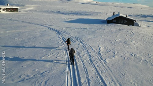 A couple is skiing from their cabin at the mountain. It is winter in norway and it is a lovely day with a clear blue sky. They are cross-country skiing down the mountain.