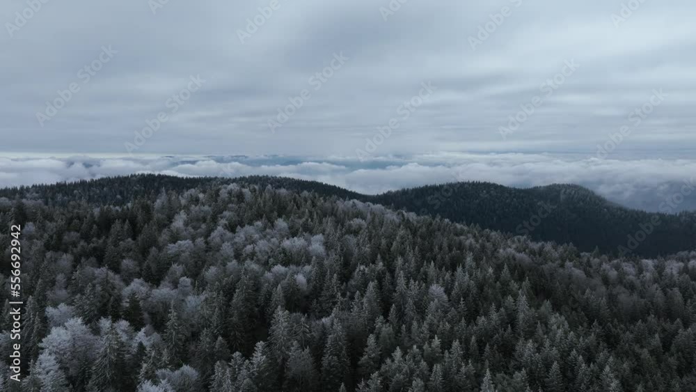 Aerial view of north snowy forest winter landscape, snowfall and first fresh snow covered forest, top down view. Aerial view of north snowy forest winter landscape, snowfall and first fresh snow covered forest, top down view.
