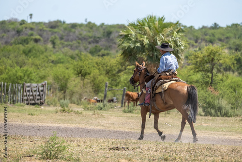 Gaucho from the Argentine pampas riding a horse seen from behind