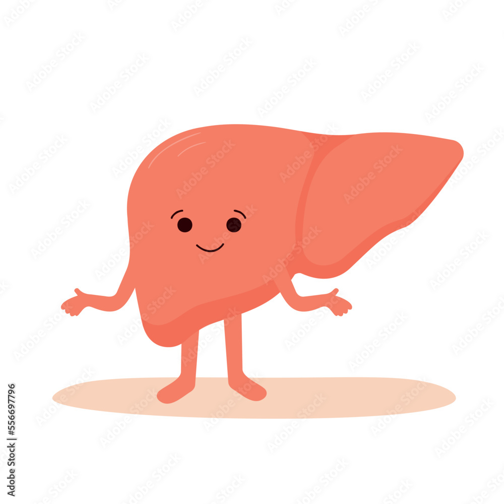 Obraz premium Love Your Liver Awareness Month. Healthy happy and smiling liver .Vector illustration in flat and cartoon style