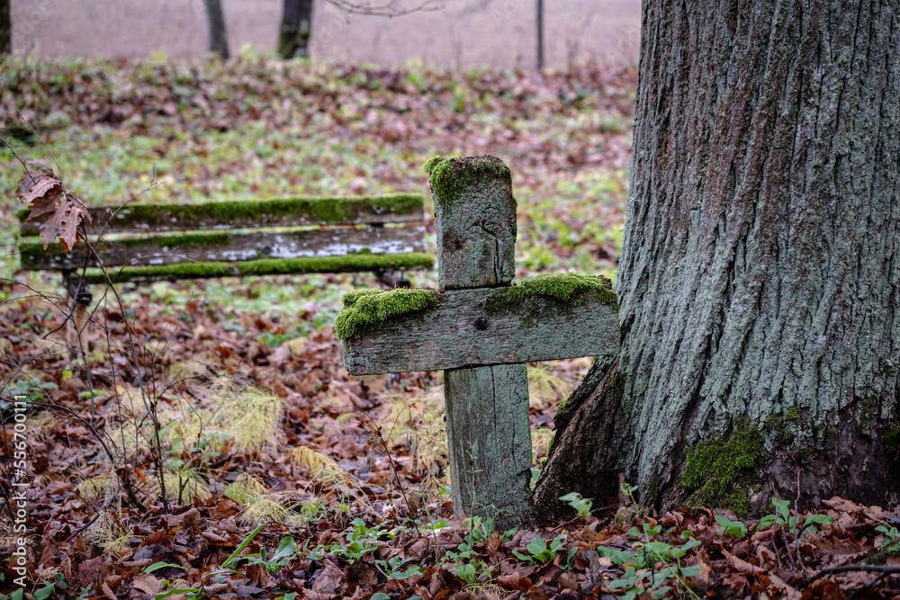 old aged moss covered wooden cross and old bench on grave site in abandoned Latvia cemetery old aged moss covered wooden cross and old bench on grave site in abandoned Latvia cemetery