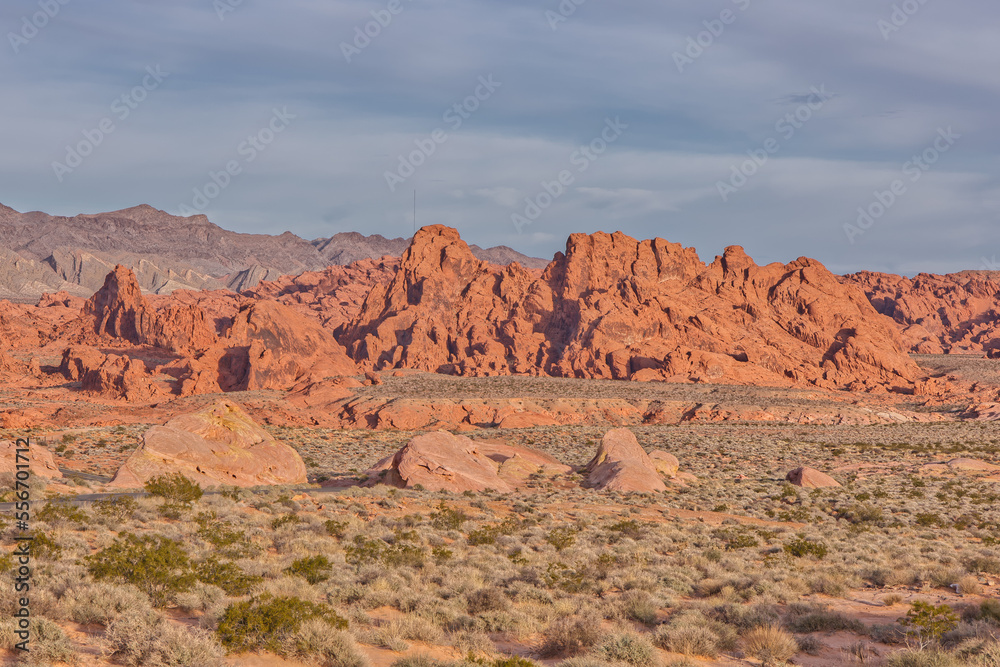 Valley of Fire from Rainbow Vista in the Morning