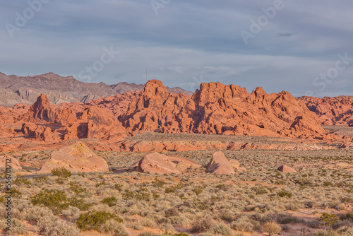 Valley of Fire from Rainbow Vista in the Morning