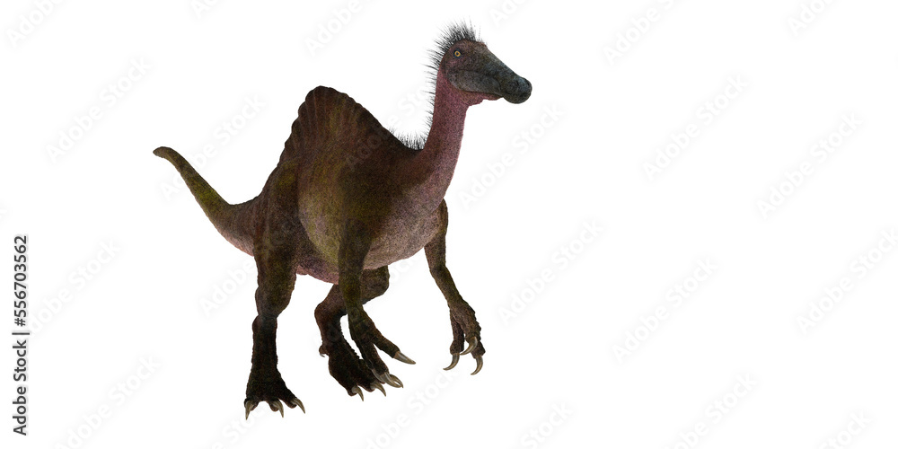 Fototapeta premium deinocheirus on white background