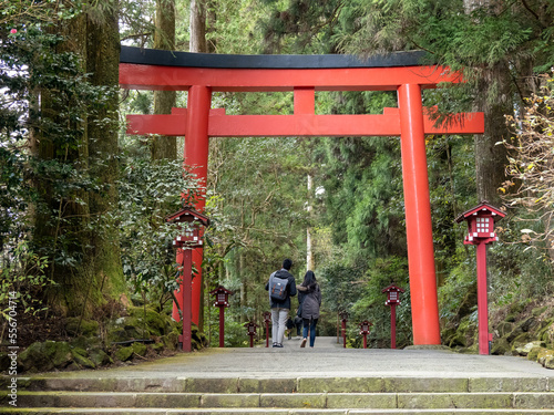 Konstfotografi Torii at Hakone Shrine, Hakone, Japan