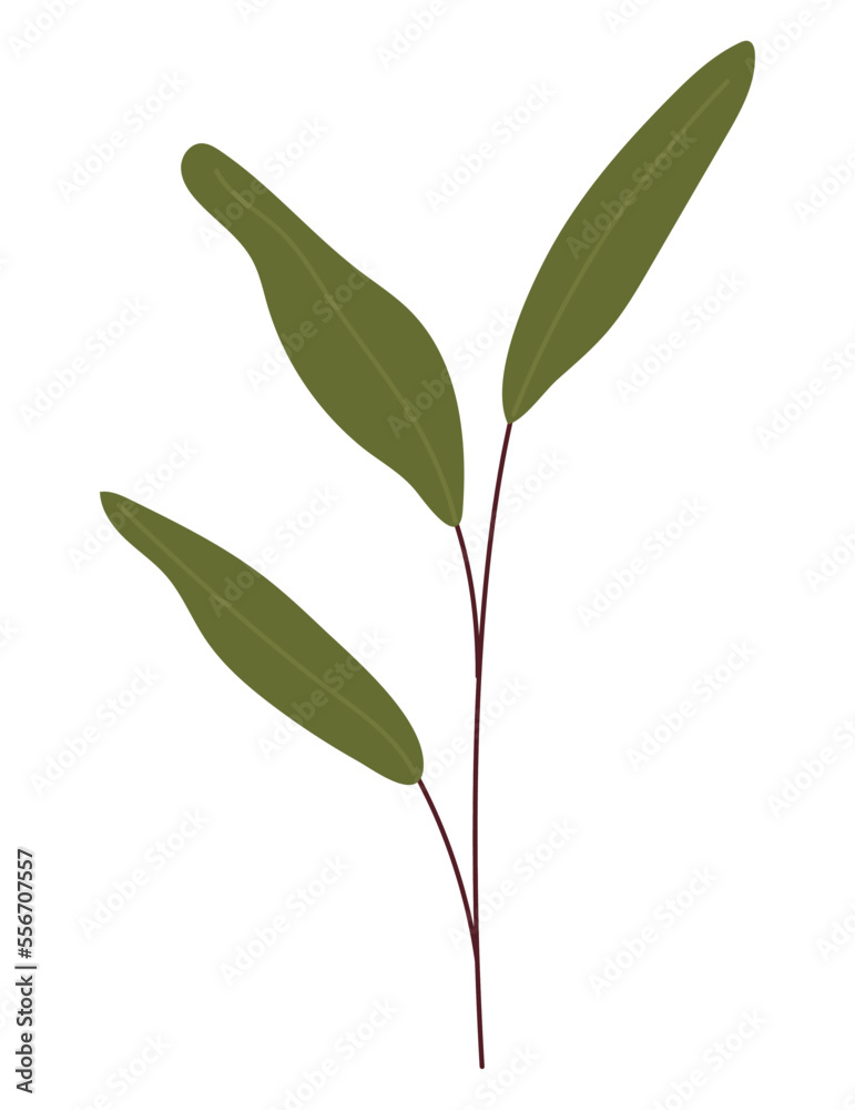 leaves branch design
