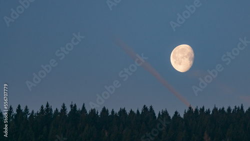 moon over the forest