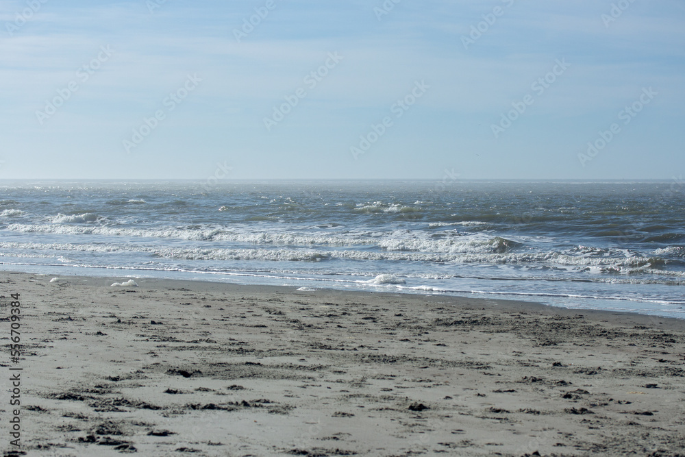 Waves at the Beach on a Sunny Day