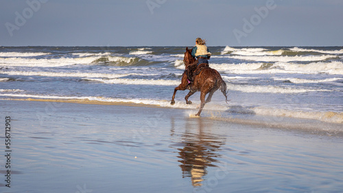 Horseback Rider Galloping on a Beach in the afternoon
