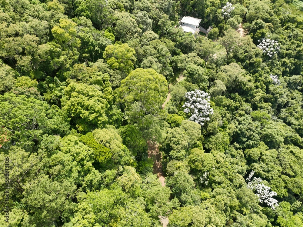 Foto aérea da Serra da Cantareira, em Mariporã, São Paulo, mostrando a mata atlântica