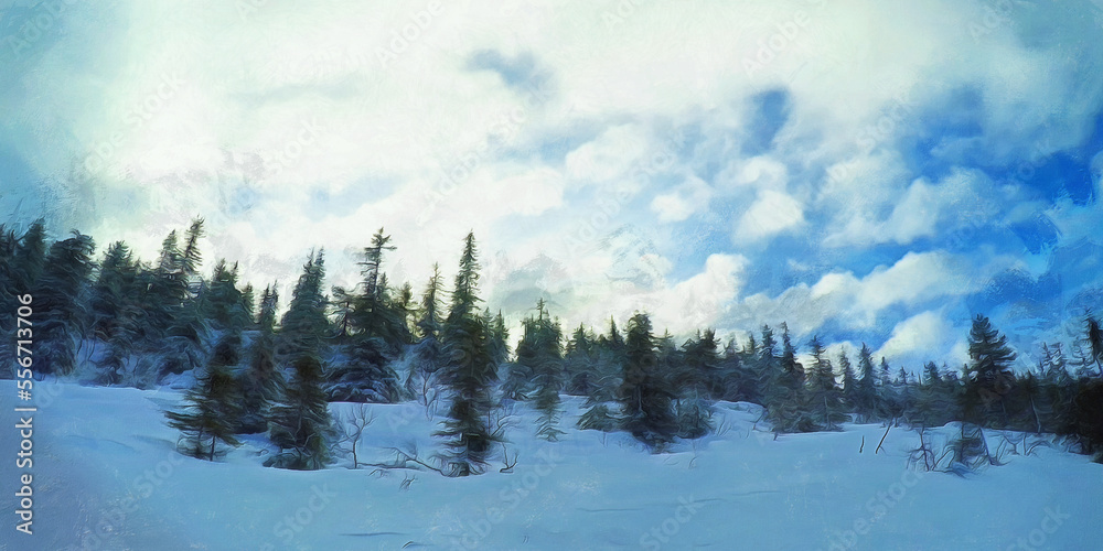 View of young winter forest, panoramic view, winter scene