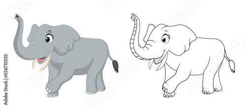 Happy cartoon elephant with line art, elephant sketch color less page isolated on white background.