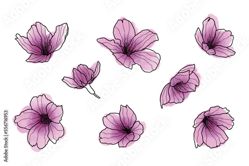 Set of Cherry blossoms flowers and logo. Trendy botanical elements. Hand drawn line leaves, branches and blooming. Wedding elegant wildflowers for invitation save the date card. Vector linear design.