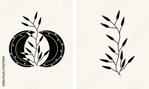 Black and white mystical posters with celestial moon, mystical leaves. Esoteric elements of mystical astrology. Black and white compositions for your design. Minimalistic design. Vector illustration