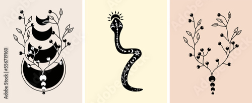 Black and white boho composition with snake, celestial moon, flowers and leaves. Mystical, magical compositions. Suitable for banners, posters, postcards. Vector illustration.
