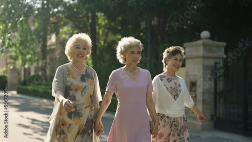 Happy senior friends strolling outside,4K