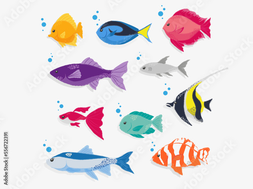 Vector fish, Vector illustration of textured fish, decorations