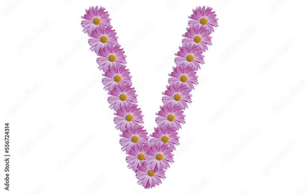 Letter V made with pink flower isolated on white background. Spring concept idea.