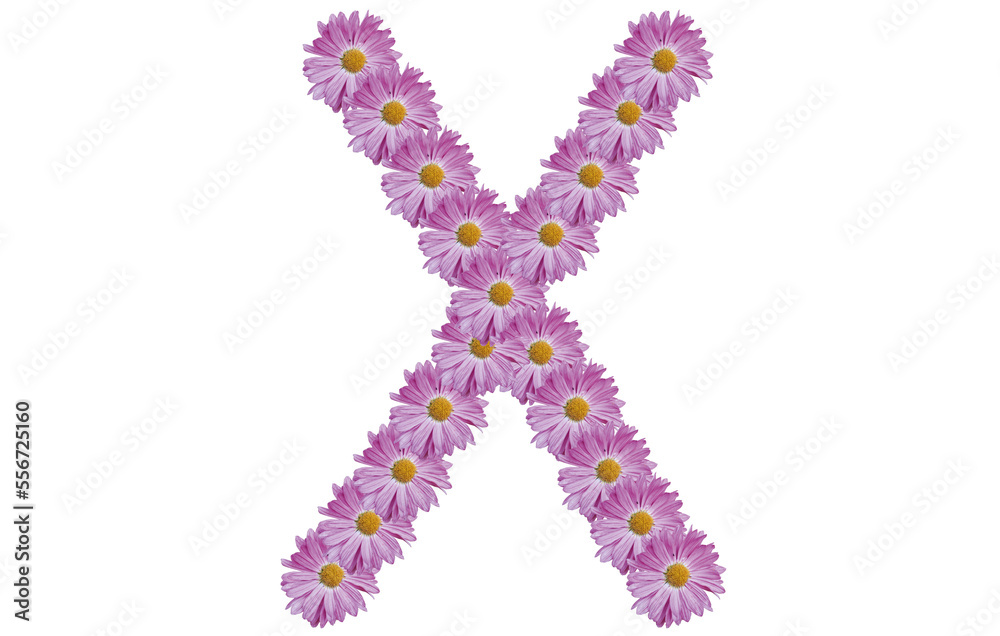 Letter X made with pink flower isolated on white background. Spring concept idea. Letter X made with pink flower isolated on white background. Spring concept idea.