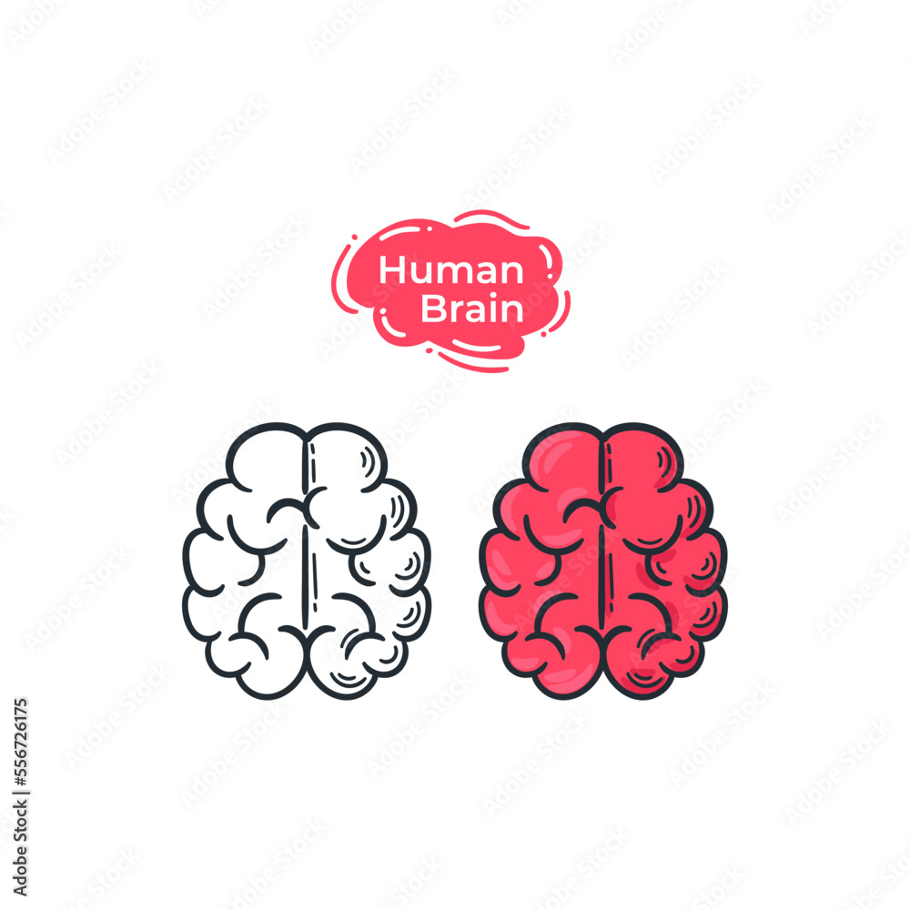 Human brain illustration drawing cartoon doodle style. Brain line color icon hand drawn Human brain illustration drawing cartoon doodle style. Brain line color icon hand drawn