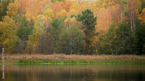 Fototapeta Naklejka Na Ścianę i Meble -  autumn landscape with lake