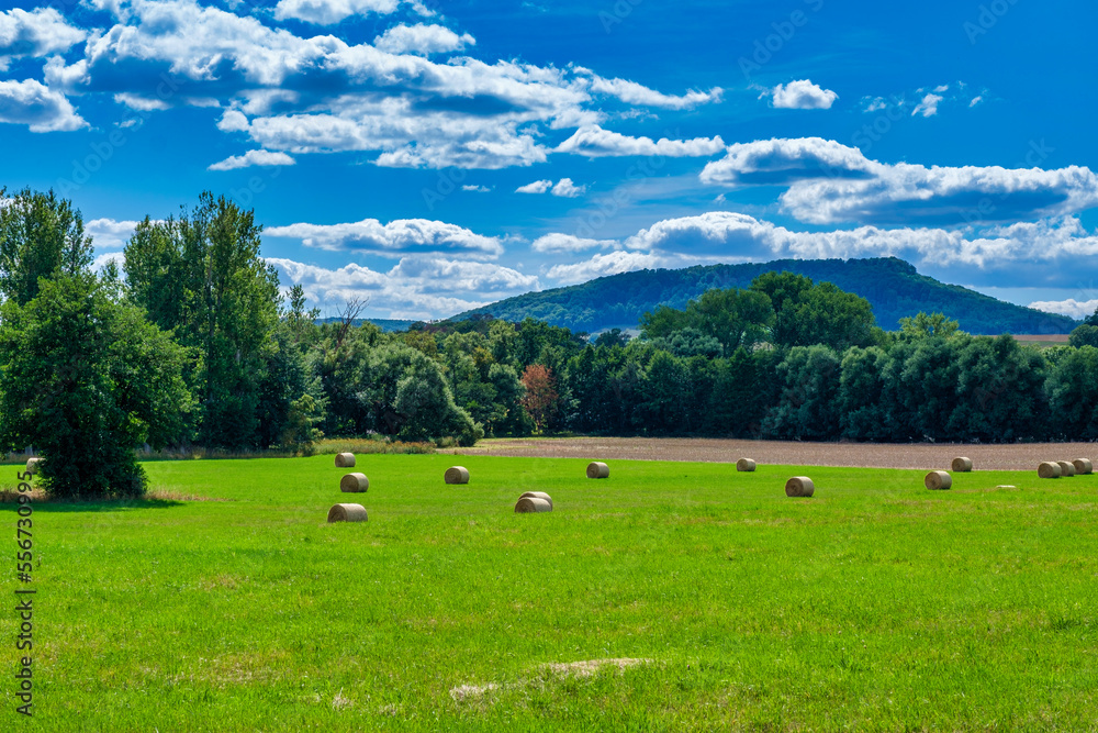 Rolls haystacks straw on field, harvesting wheat. Rural field with bales of hay. Landscape Rolls haystacks straw on field, harvesting wheat. Rural field with bales of hay. Landscape