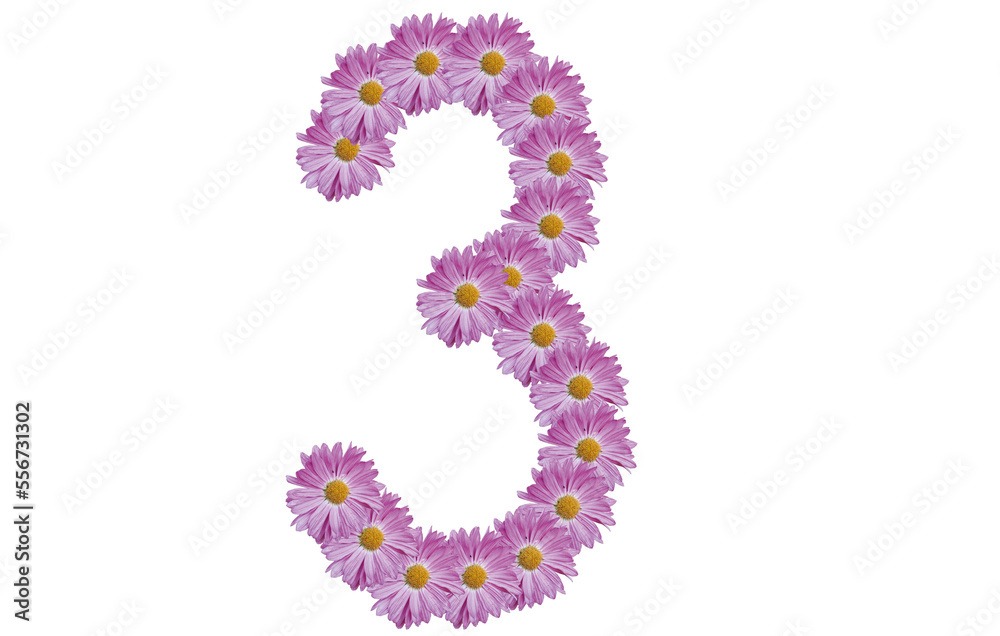 Number three made with pink flower isolated on white background. Spring concept idea. Number three made with pink flower isolated on white background. Spring concept idea.