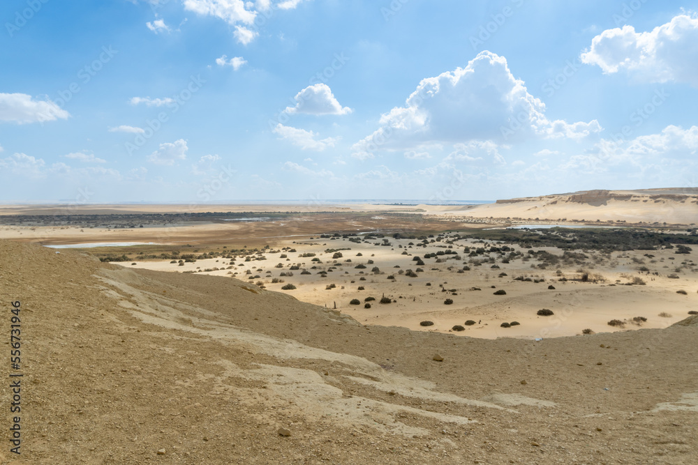 Faiyum desert oasis, seen from the top of a rock formation.