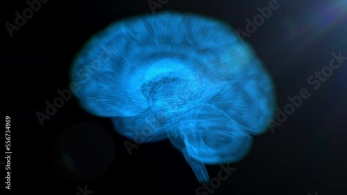 Holographic brain full 3D rotation