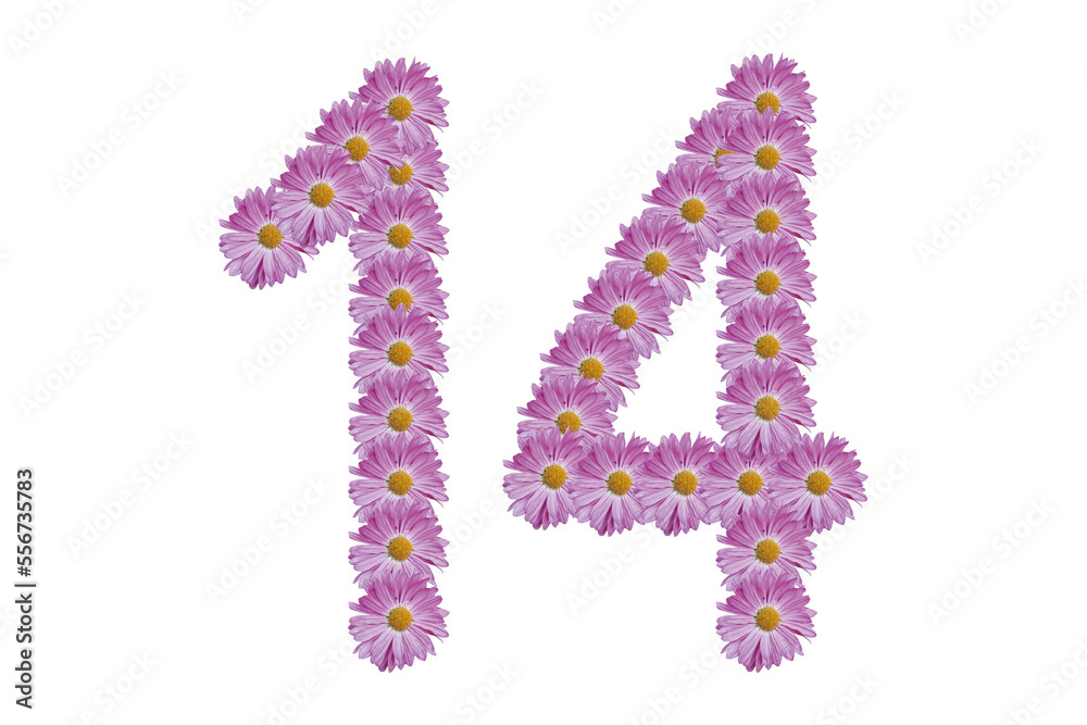 Number 14 made with pink flower isolated on white background. Spring or valentine's day concept idea.