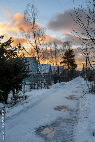 Sunny sunrise on a garden plot in the month of December.