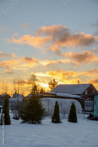 Sunny sunrise on a garden plot in the month of December.