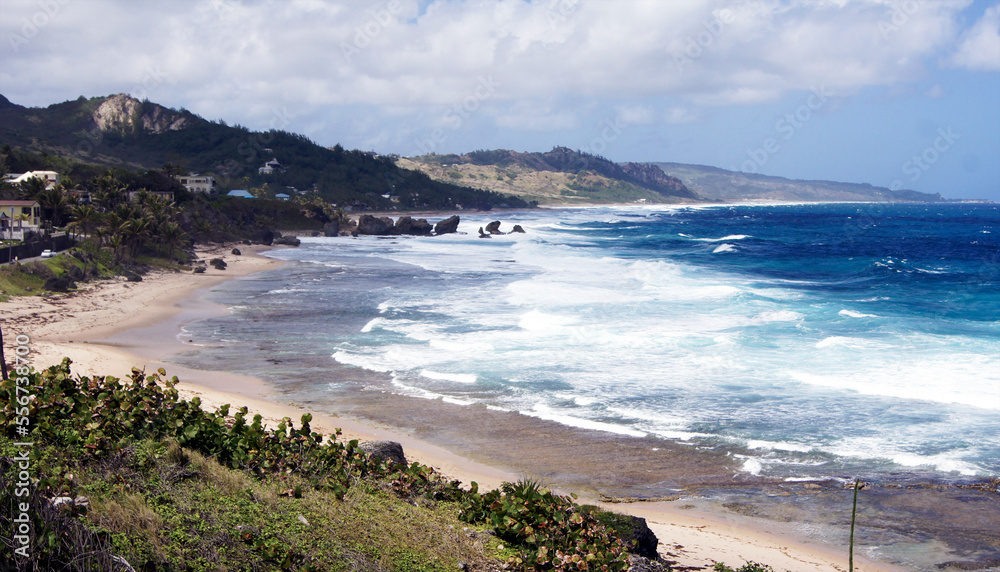 Basheba, east coast, island of Barbados Basheba, east coast, island of Barbados