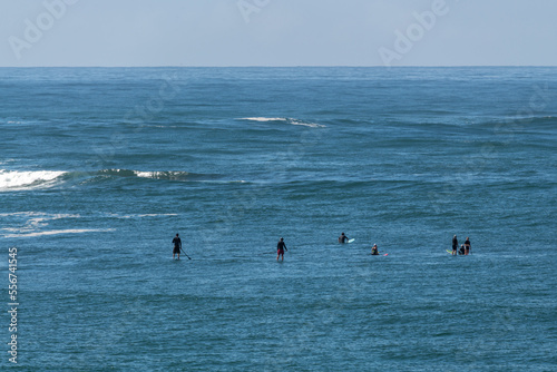 Surfers in ocean at Sunshine Coast, Australia with blue horizon in the background. 