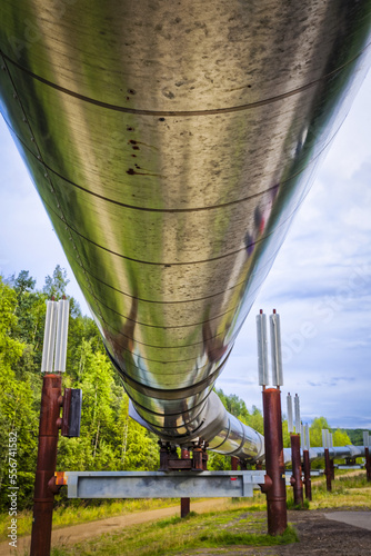 Trans-Alaska Pipeline, Interior Alaska in summertime; Fairbanks, Alaska, United States of America photo