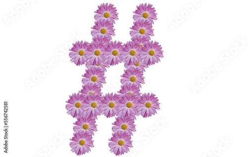 Hashtag sign made of pink flower  isolated on white background. Flower typography. Design element.