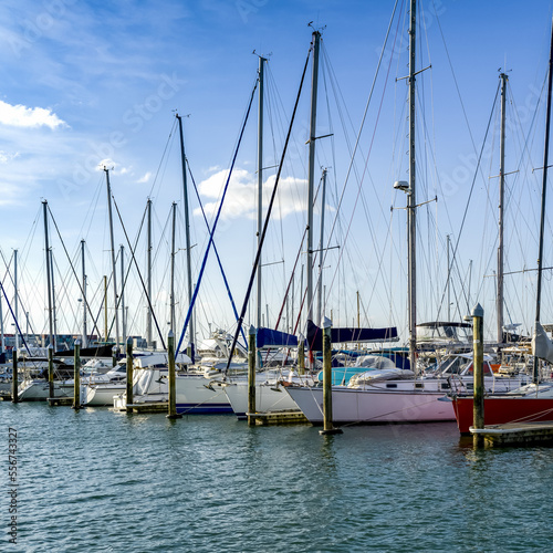 Sailboats moored in a row in a harbour; Bay of Plenty Region, North Island, New Zealand photo