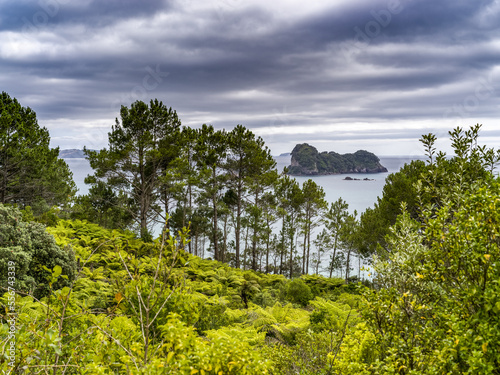 Lush vegetation along Cathedral Cove. Accessible only on foot or by boat, famous Cathedral Cove is one of the must visit sites on The Coromandel; North Island, New Zealand photo