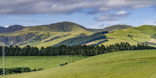 Rolling hills and grassy slopes at Longridge North; Southland Region, New Zealand photo