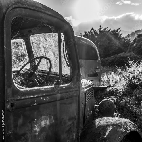 Black and white image of an abandoned vintage truck overgrown with plants in Totara Flat, the centre of the farming industry in the Grey county; South Island, New Zealand photo