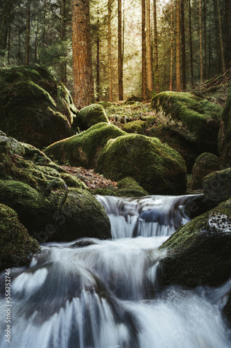 Wasserfall im Schwarzwald