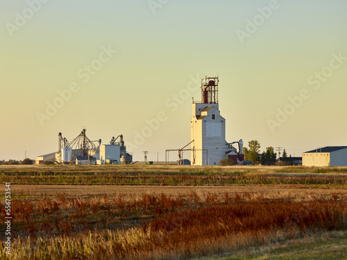 Golden sunlight reflected on the automated grain elevator and storage silos with fields of grass stubble in the foreground; Regina, Saskatchewan, Canada photo