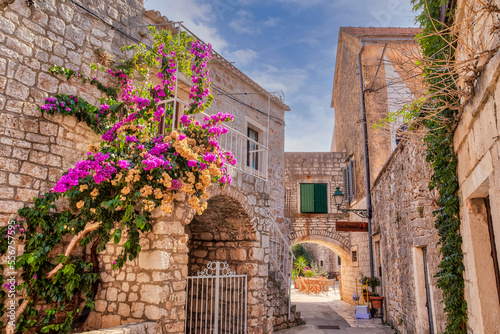 Flowering vines climb up the ancient stone walls along a narrow lane way in the picturesque island town; Stari Grad, Hvar, Croatia photo