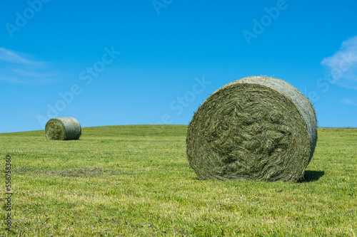 Two large hay rolls on a green, cut meadow with a bright blue sky; Vogelsberg, Hesse, Germany
