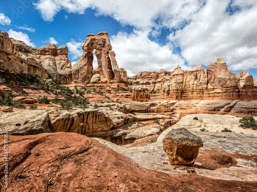 Fotografie Druid Arch is Cedar Mesa Sandstone arch in the Needles District of Canyonlands N